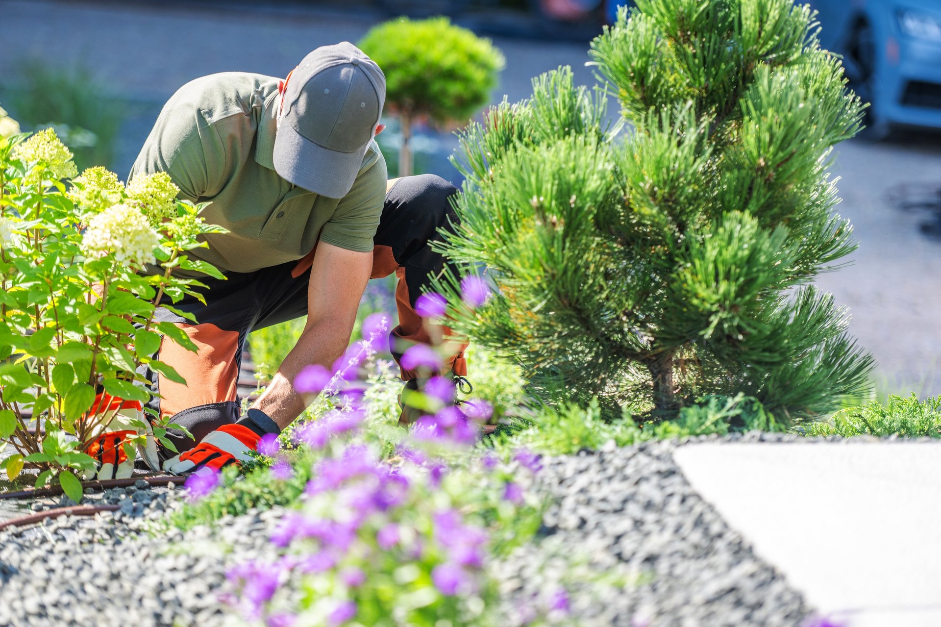 Professional gardener tending to plants