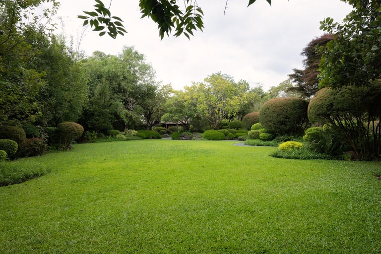 Beautiful garden landscape