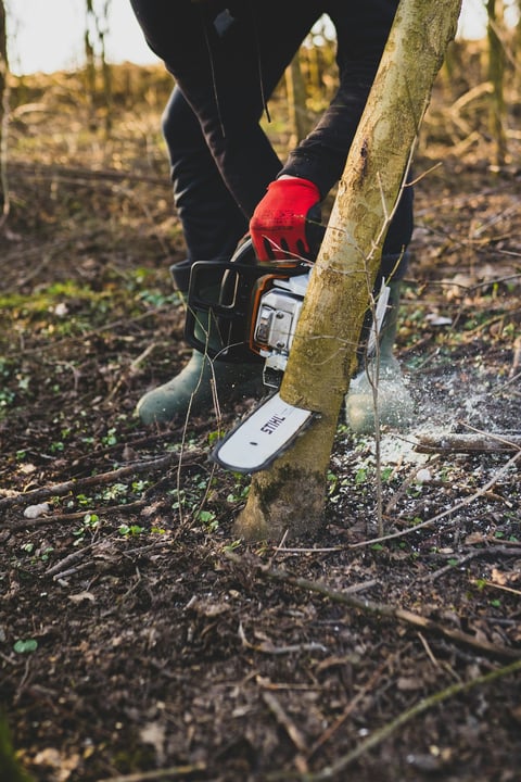 Person in red hat and boots holding a chainsaw against a tree trunk